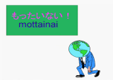 Mottainai - a famous Japanese phrase