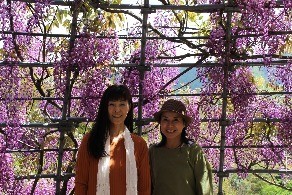 kawachi-fuji-festival-with-hachiyama-sensei-and-kamioka-san