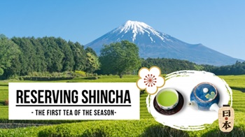 shincha