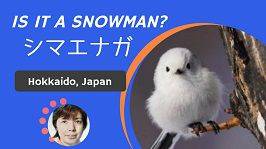 Is it a snowman? - Learn Japanese Online - Japonin Teachers blog